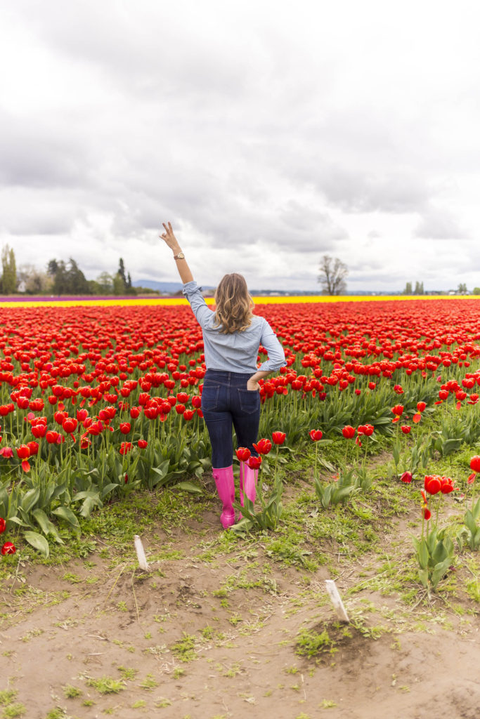 taking a step back - stepping back from blogging - mental health awareness - Skagit Valley Tulip Festivala